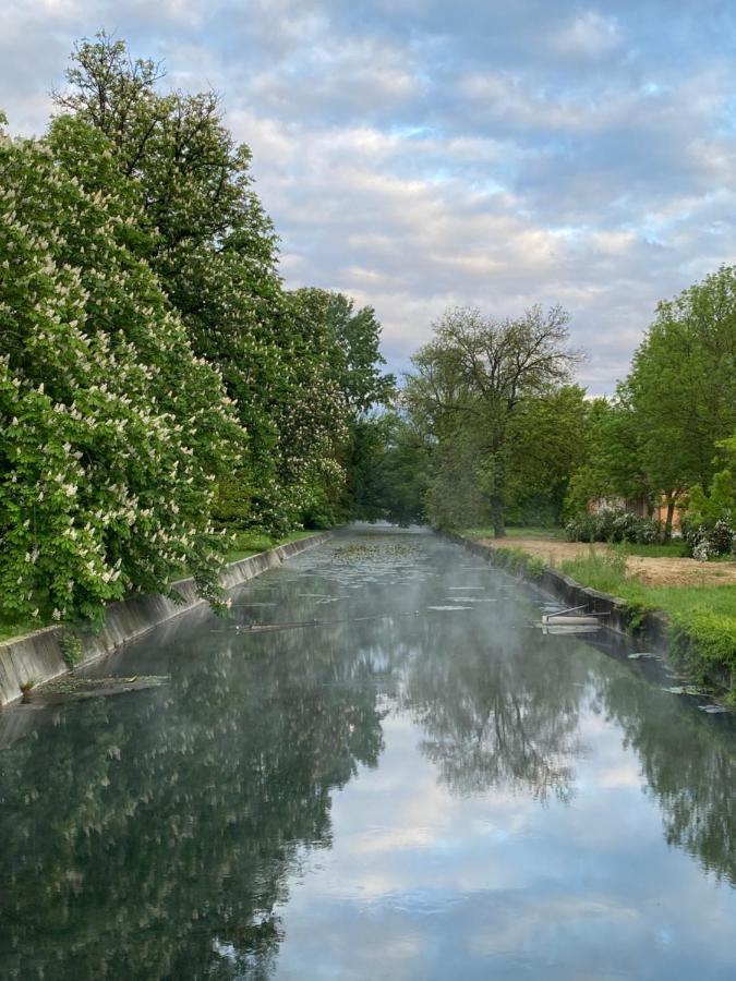 Villa Elisa Вонярцвашхедь Экстерьер фото